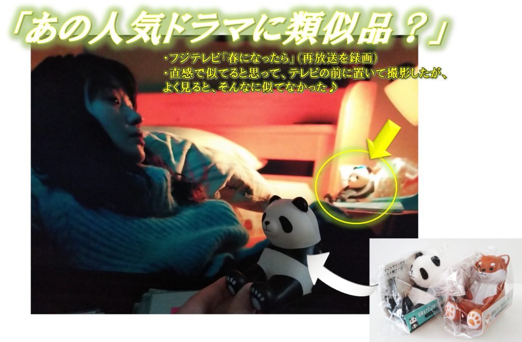 済）この１枚　パンダのや～つ